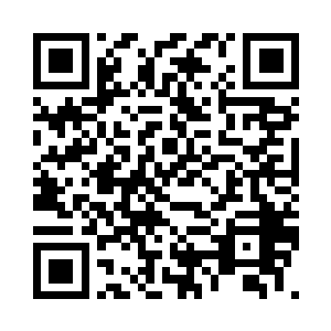 整个东域除了虚空公子配得上他之外二维码生成