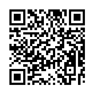 整个五律宗的护山法阵剧烈的颤抖了一下二维码生成