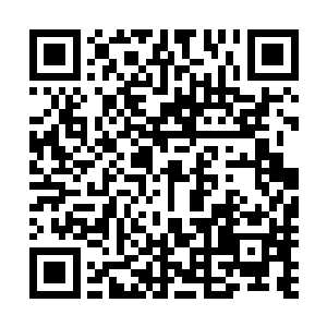 整个人周身的皮肤都被那扭曲的空间给刮花出了一道道伤口二维码生成