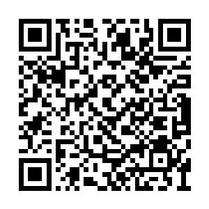 整个人的注意力都集中在了那带着口罩的人身上二维码生成
