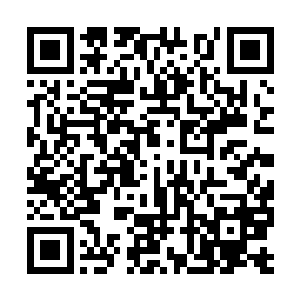 整个关东地区亦在暴风雨和海啸的侵袭中瑟瑟发抖二维码生成