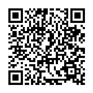 整个北海的50多万苏军的北逃路线已经被我英雄装甲第一师二维码生成