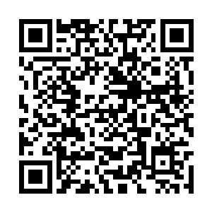 整个定居点就会被黑暗和其中数不清的凶险所吞噬二维码生成
