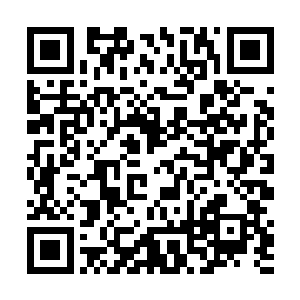 整个森之林的风向完全由一片骂声转为了一片道歉之声二维码生成