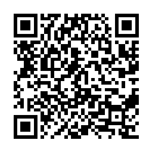 整个水行宫的人马全部被她们俩婆孙给拖下了水二维码生成