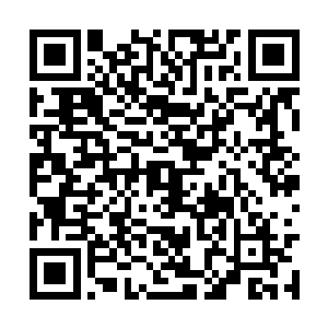 整个流沙瀑布所蕴含的法则之力的种类超过数百种二维码生成