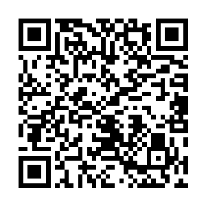 整个海底基地中最重要的金属已经被小金属圆球吞噬一空二维码生成