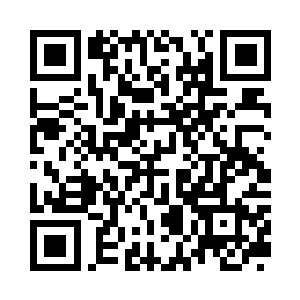 整个神阳秘境内数百个城池都暴动了二维码生成