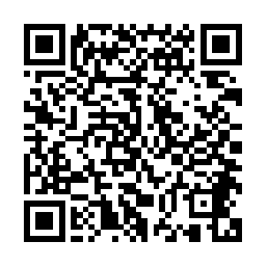 整个美国的各大媒体对于木乃伊的报道也越发的吹捧性质十足二维码生成