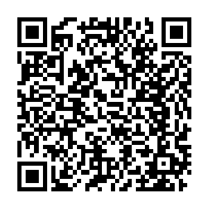 整个美国的媒体都开始为美国偶像这档划时代的超级真人秀而疯狂二维码生成