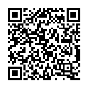 整个身躯变成了一块块一米见方的肉块滚落在地二维码生成