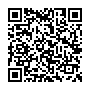 整整三秒钟时间所有观众都在观看荣耀至死退场二维码生成