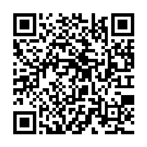 整理好了行头用具贝海直接上了车子就向着码头驶去二维码生成