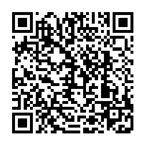 文龙直接将自己所带领的数百名无极宗弟子安排在了一处可以歇息的地方二维码生成