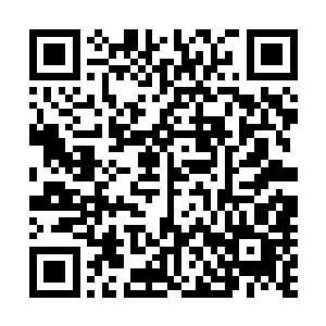 新任皇室固然没有王家老祖那样有圣域二十七重天强者坐镇二维码生成