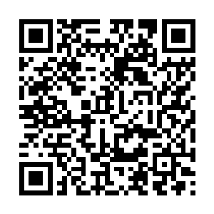 新增加的精神力正不断被那股黑洞一样的能量吞噬二维码生成