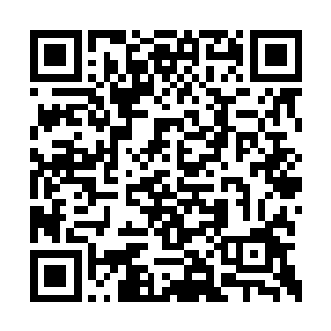 新生们下船之后并没有听从要塞的指示人员行动二维码生成