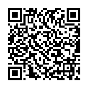 新麓山集团是通过改制形成的混合制经济产物的典范二维码生成