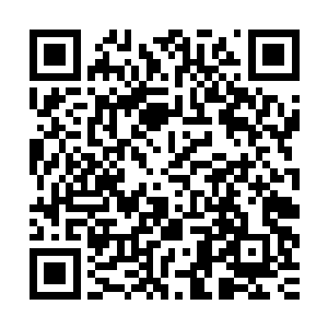 方圆数万里内的天地元气以及无形无态的天地之力也受到了影响二维码生成