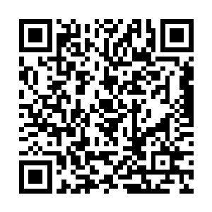 方寸公司都会按照龙果的种植情况对梨花村进行奖励二维码生成