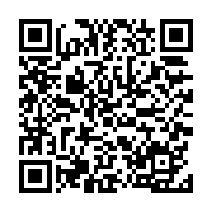 方才冷青丘向他们一干人盘问通天灵塔中具体发生的事情二维码生成