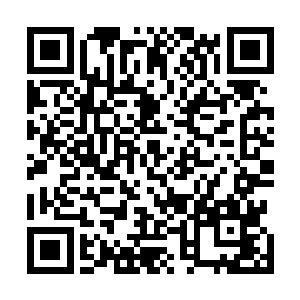 方才皇贵妃已经将部分内务府所需用度的册子交给了本宫二维码生成