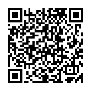 方才那他掌心的那一滴鲜红的如同火焰的光芒就是蚩尤的心血二维码生成