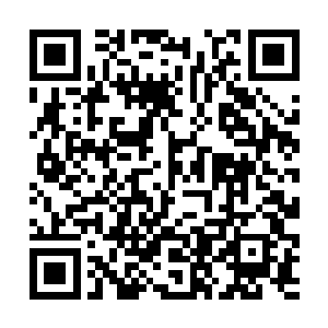 方炎的手里抓着从刘学儒袖子上撕扯下来的一片衣料二维码生成