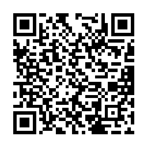 方运看着前方凌乱的海底以及慢慢下落的水中泥沙二维码生成