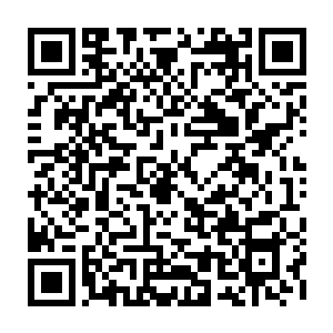 施魏因斯泰格以拜仁慕尼黑所表现出来的状态多特蒙德已经很难在客场翻盘了二维码生成