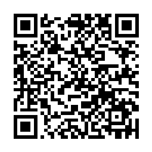 旁边的孙悟空和弑神两个人也轰到了紫金天蜈的要害二维码生成