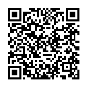 旋即直接被风娘一阵飓风给吹散的一点儿都不曾剩下二维码生成