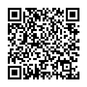 族长带着一群家族高层在给一个炼气期第一层的弟子护法二维码生成