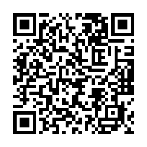 无依无靠屡屡挨揍的沈千梦终于没法再像以前那样淡定二维码生成