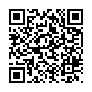 无奈明帝的右手出拳速度实在是太快二维码生成