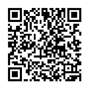 无形之中已经让我变得比正常同龄人要成熟的多的多二维码生成