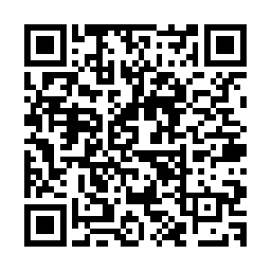 无数双眼在黑暗中发出血红光点的老鼠们在白骨堆中进进出出二维码生成