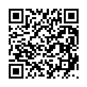 无数各种型号的连接线正有序的被归类二维码生成