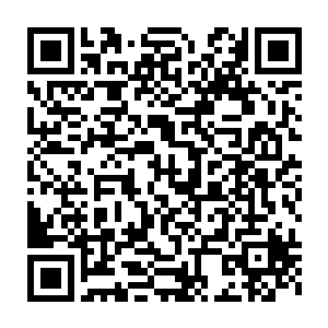 无数木屑碎片带着淡淡的紫青剑气如飞火流星似地射向几十只红狼二维码生成