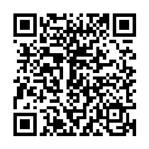 无数机器人像小蜜蜂意义在里面辛勤忙碌的场景展现在众人面前二维码生成