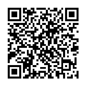 无数炼器师和维修师依旧在这些钢铁巨人身上紧张作业着二维码生成