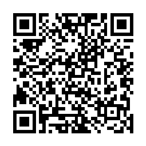 无数的灰色云朵化作一只巨大的手指轰鸣指向了徐成的手二维码生成