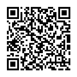 无数的风刃组建而成的狂风在罗楼的周围形成了一道屏障二维码生成