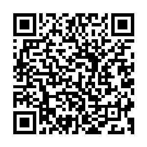 无数的黑衣人将两家围了起来然后对着两家展开了疯狂的攻击二维码生成