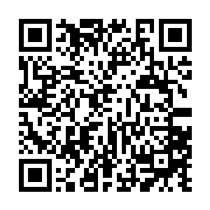 无数英灵的脑域深处都蕴藏着修真李耀的神魂碎片二维码生成