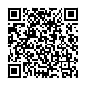 无端端的被林放把货物的价格每公斤拉高了三十美元二维码生成