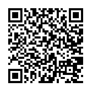 无论如何也想不通祖龙真血为什么会进入自己的文宫二维码生成