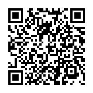 无论是因为你的出身还是因为将军令是你的弟弟二维码生成
