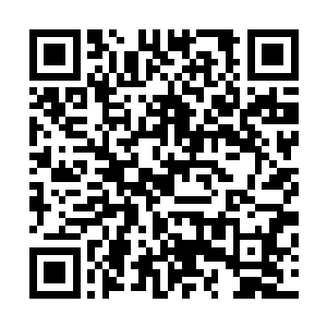 无论是那紫雪家族的老祖还是那道虚影都是直接的被轰飞了二维码生成