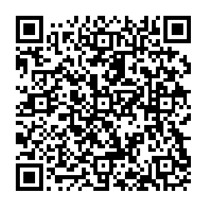 无论是龙皇还是其余的那些龙族的长老开始的时候听了小金的话之后都十分的愤怒二维码生成